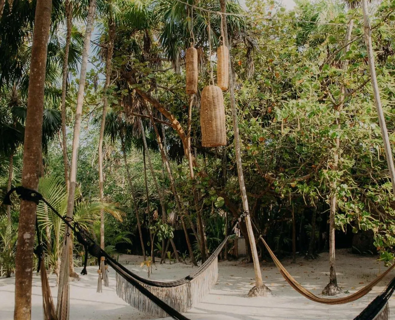 Jungle Loft With Gym, Pools And Rooftop Terrace Tulum Apartment