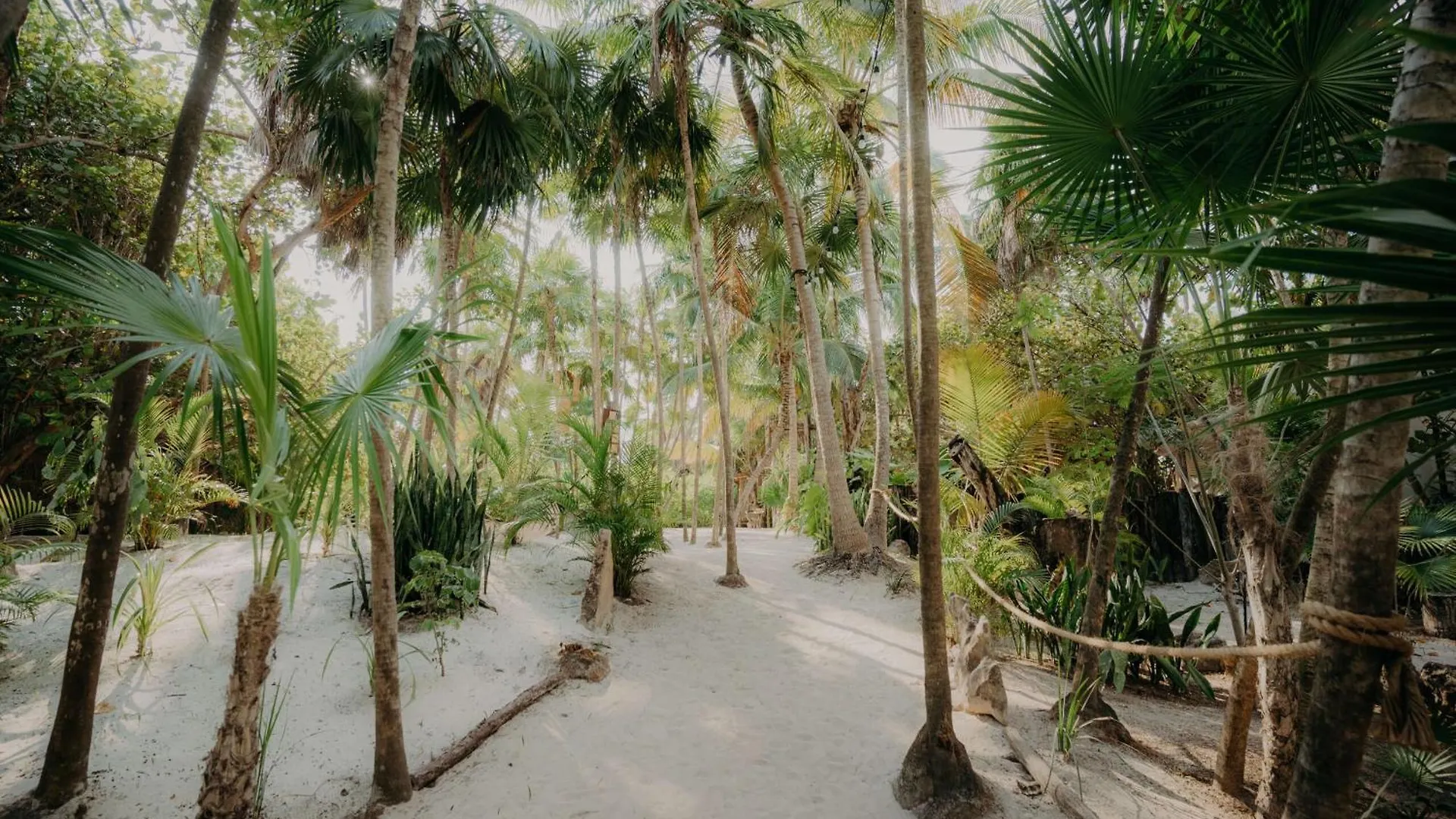 Jungle Loft With Gym, Pools And Rooftop Terrace Tulum